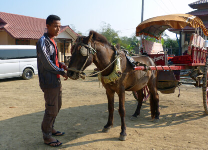 Kutschenfahrer Soe Win und Pferd Aung Chay